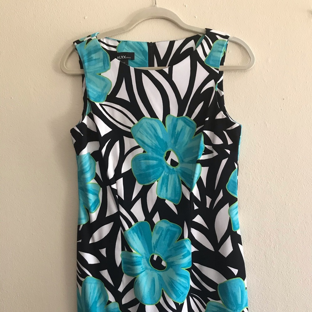 ALYX dress Professional size 10